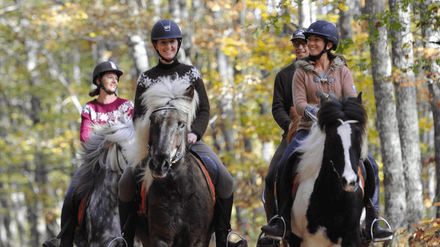 Randonnée à cheval